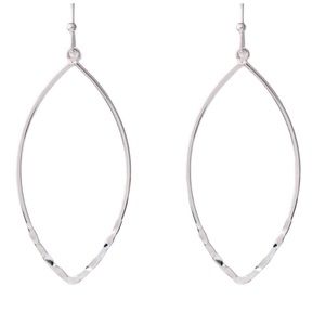 Tear Drop Earrings (NWOT)